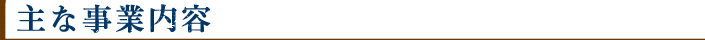 主な事業内容